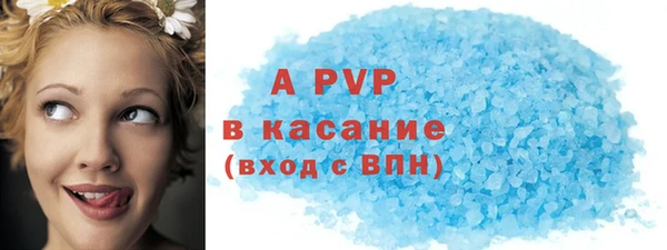 индика Тавда